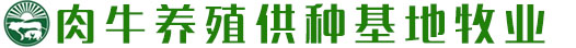 U8国际